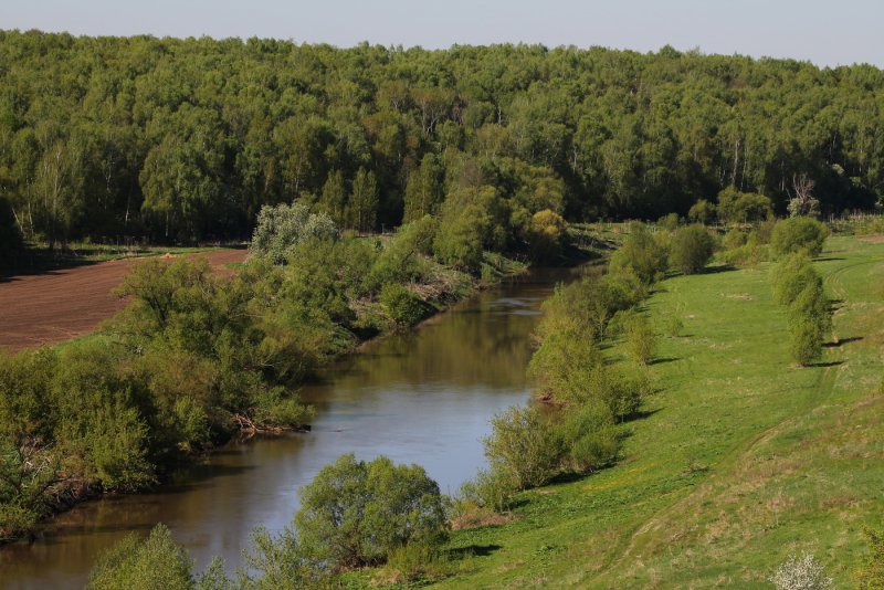 Река осётр Тульская область