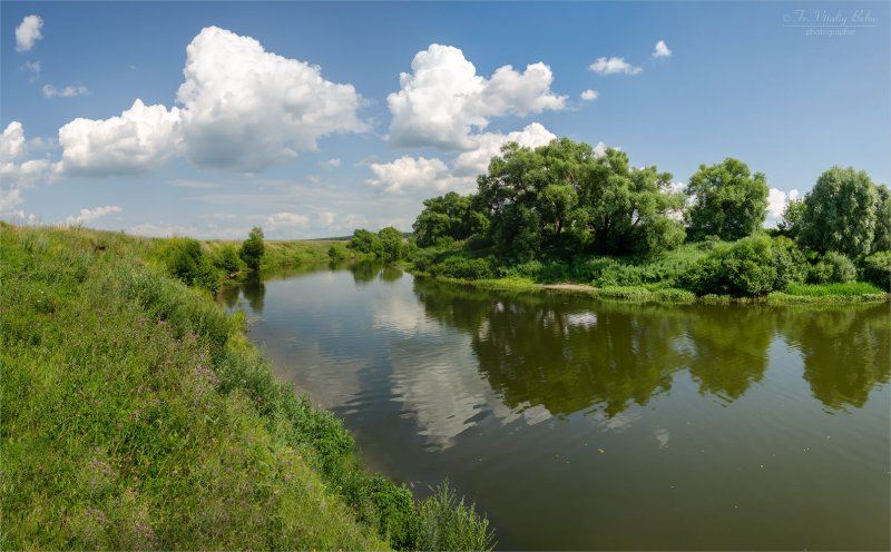 Река осетр Зарайск
