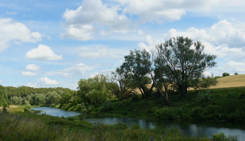 Река бровка Зарайский район