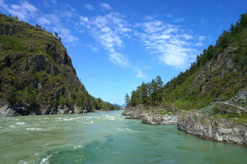 Река Катунь Чемал