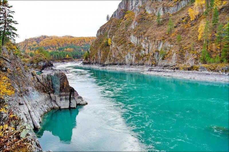 Река Катунь горный Алтай