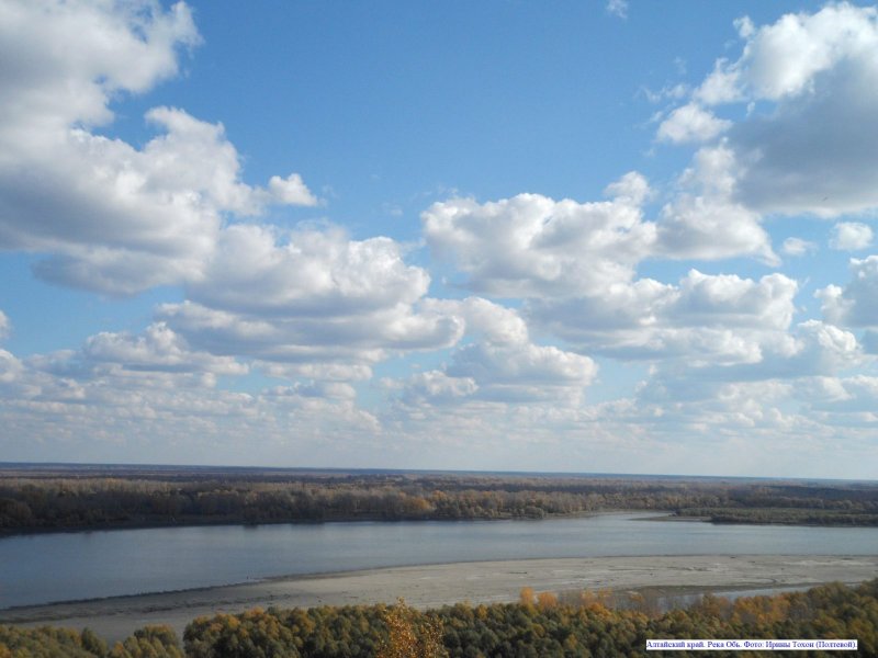 Фото реки Обь в Алтайском крае