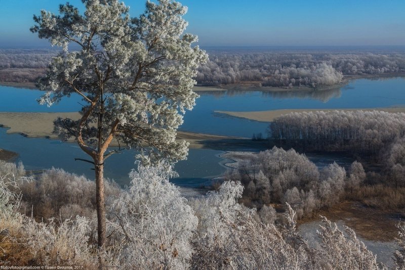 Природа Алтайского края река Обь