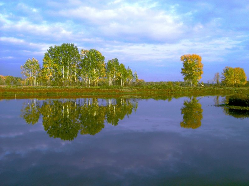 Озеро реки Обь