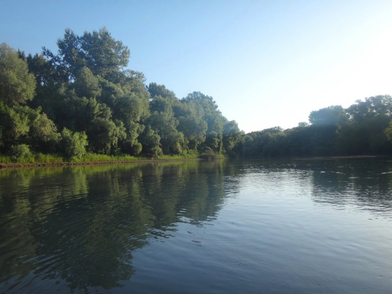 Горная река Лаба Краснодарский край