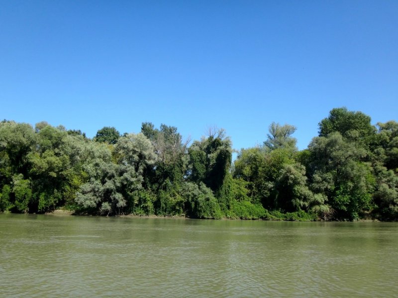 Река Кубань Армавир