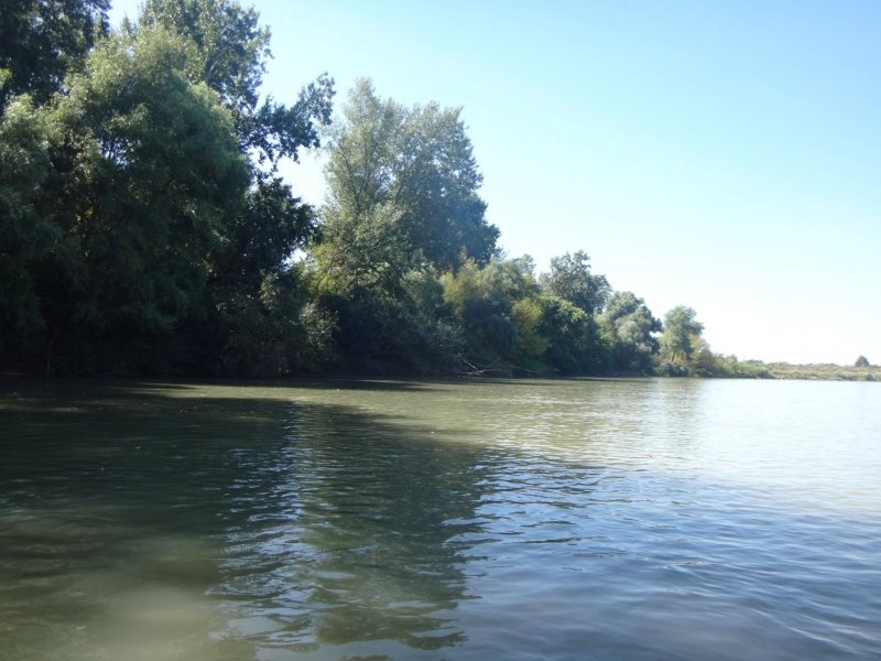 Река белая Адыгея