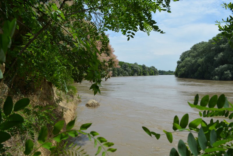 Река Кубань Краснодарского