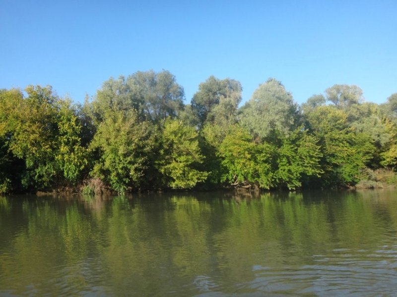 Река Кубань Кропоткин