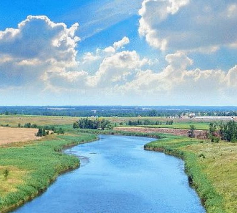 Лесная река Кубани
