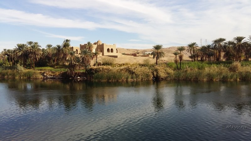 Манговые сады на берегу Нила