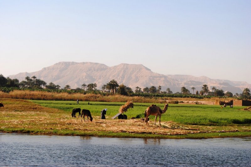 Древний Египет Долина Нила разлив