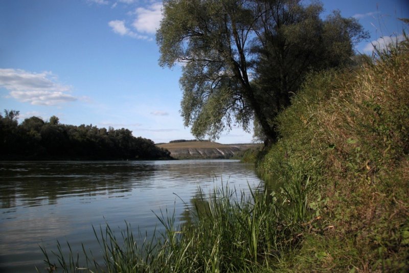 Усть-Медведицкий природный парк река Дон