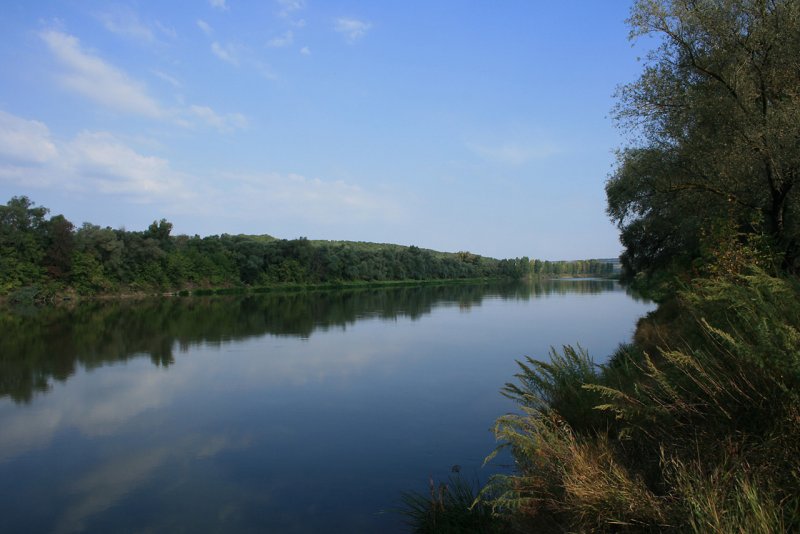 Река Дон в Воронежской области рисунок