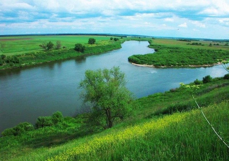 Река Дон в Липецкой области