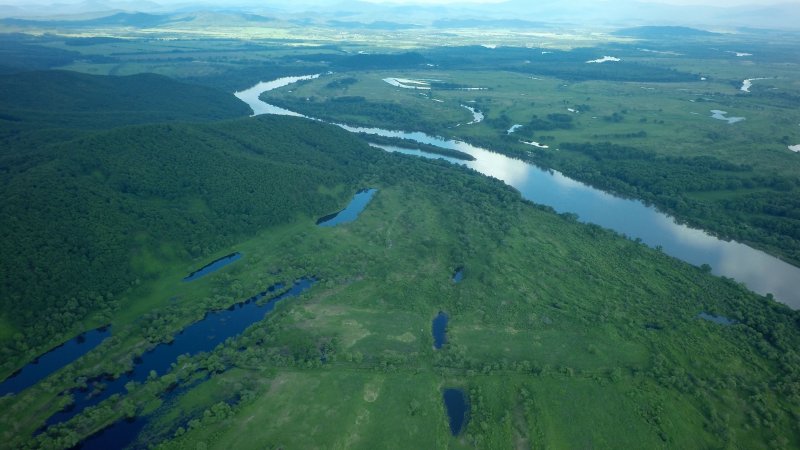 Низовья реки Амур