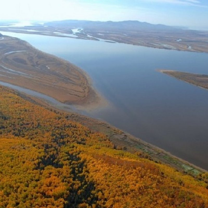 Река Амур Хабаровский край