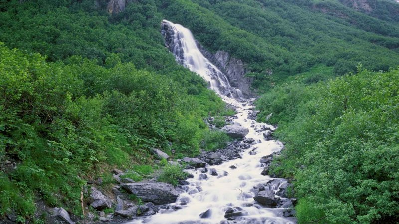 Река Мзымта кавказский заповедник