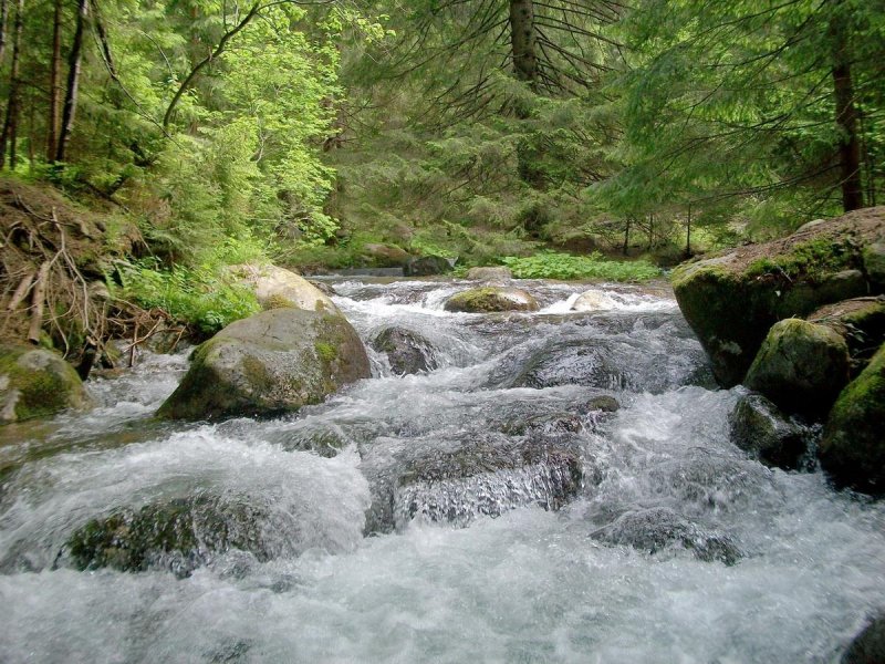 Горная река фото