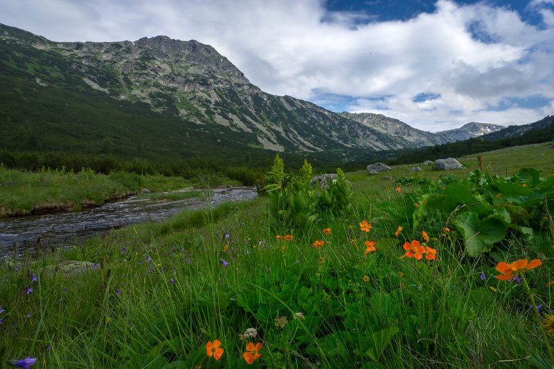Болгария горы летом