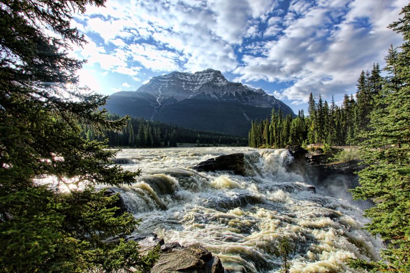 Природа водопад река лес горы