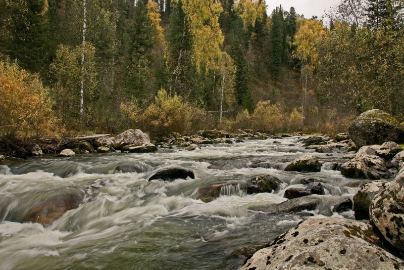 Река и ручьи Катунь