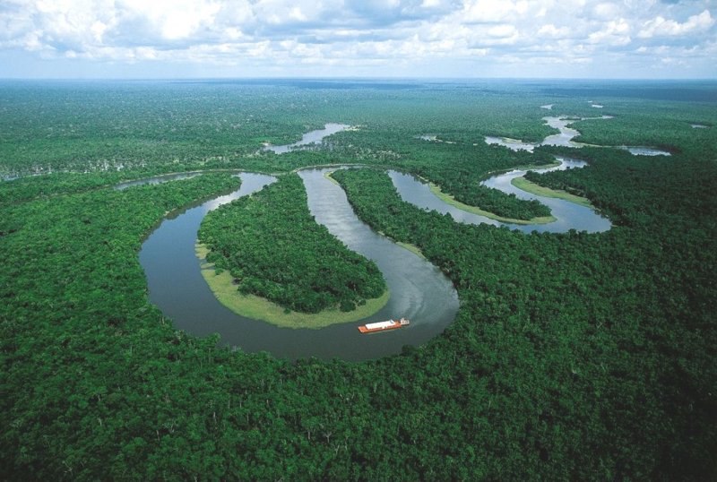Игапо Амазония