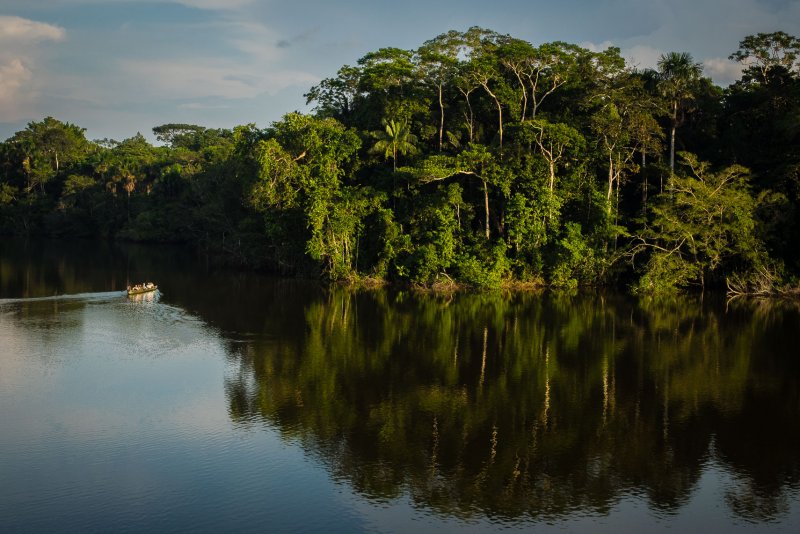 Река Амазонка в Латинской Америке
