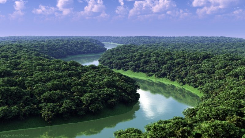 Амазонка на реке Амазонка