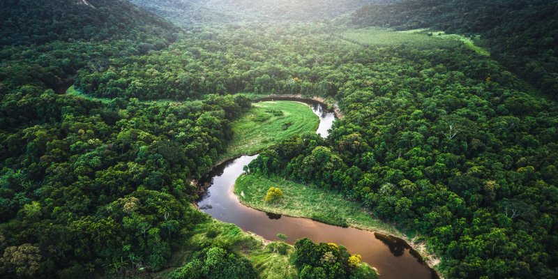 Полноводная река Амазонка