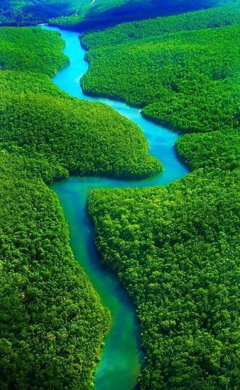 Река Акари Бразилия