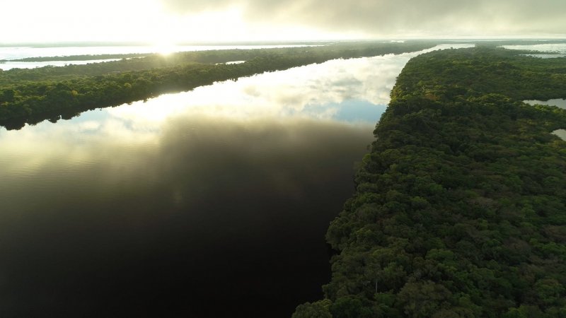 Берега реки амазонки