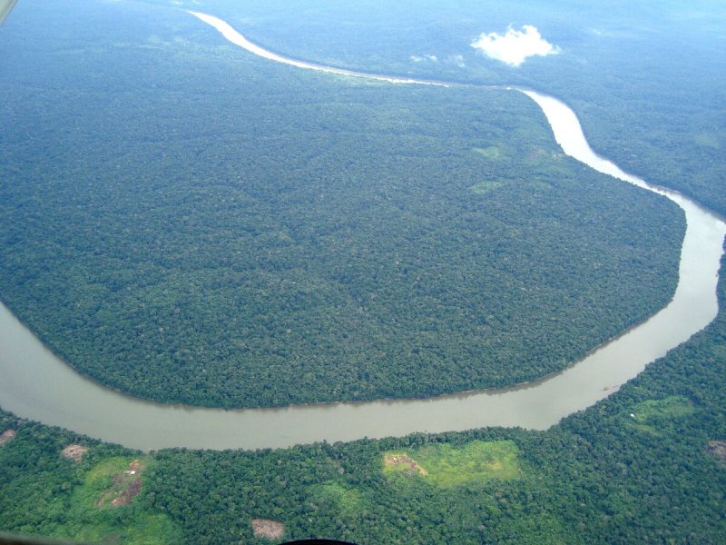Амазонка сейчас река