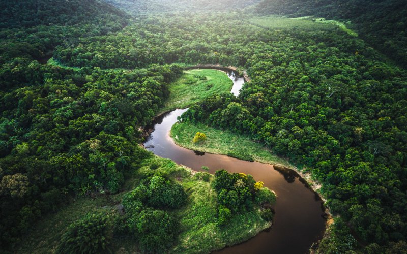 Река Амазонка с высоты птичьего полета