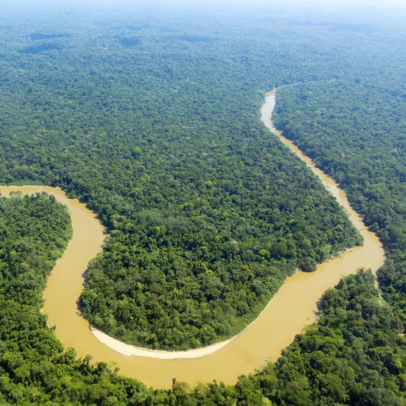 Дождевые леса Амазонии 897