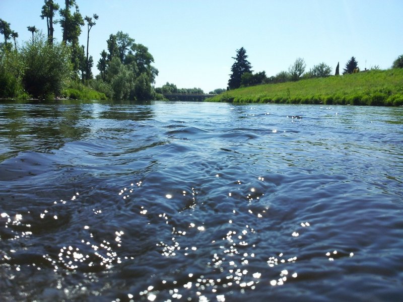 Река Вонча