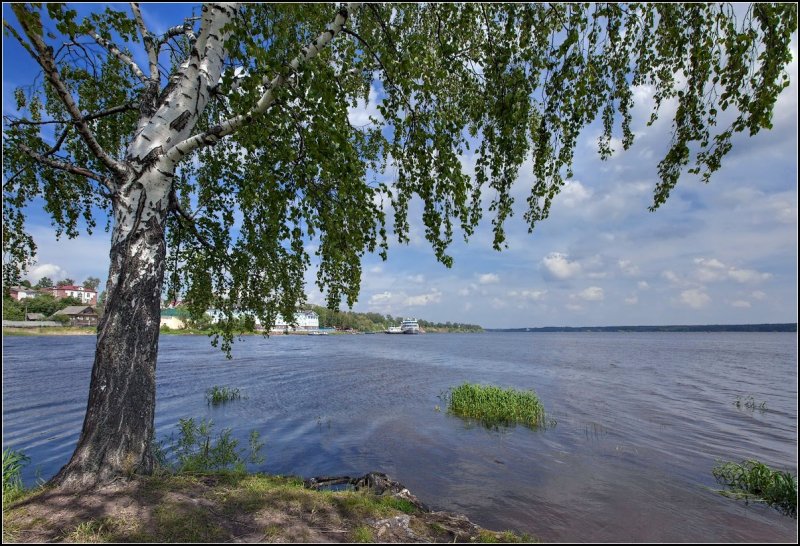 Река Волга лето