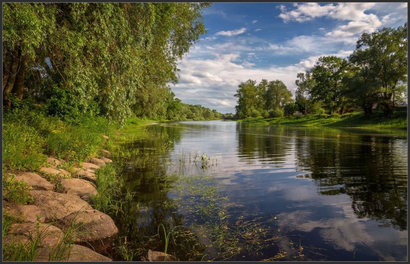 Река Порусья Новгородской области