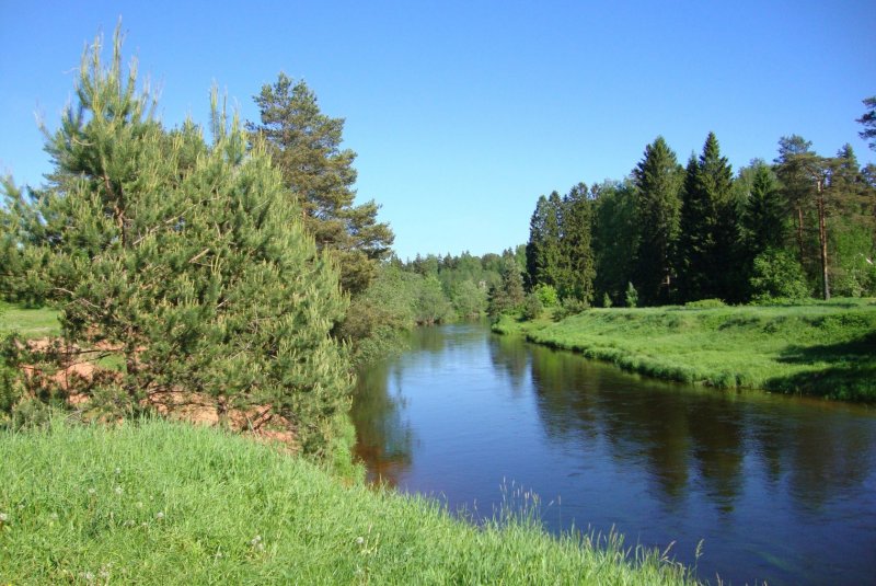 Река Кривец