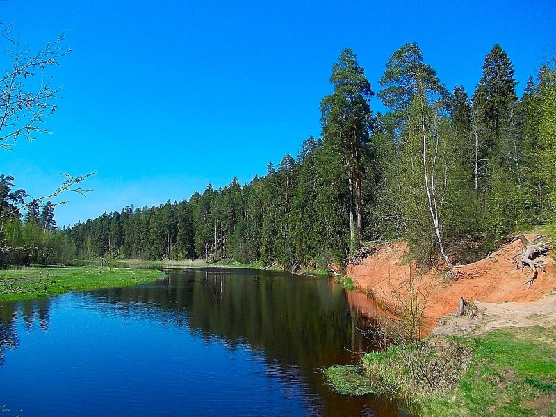 Река Оредеж Ленинградская область