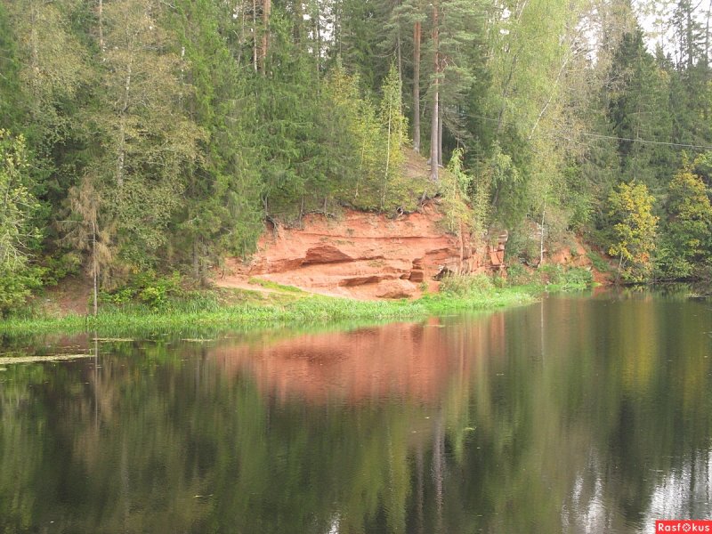 Каньон река Оредеж Ленинградская область