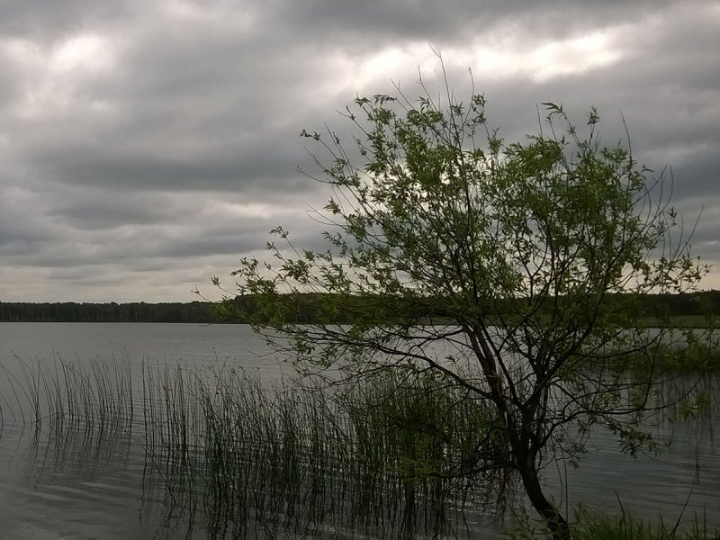 Озеро Сугояк 2 Челябинская область: информация о рыбалке