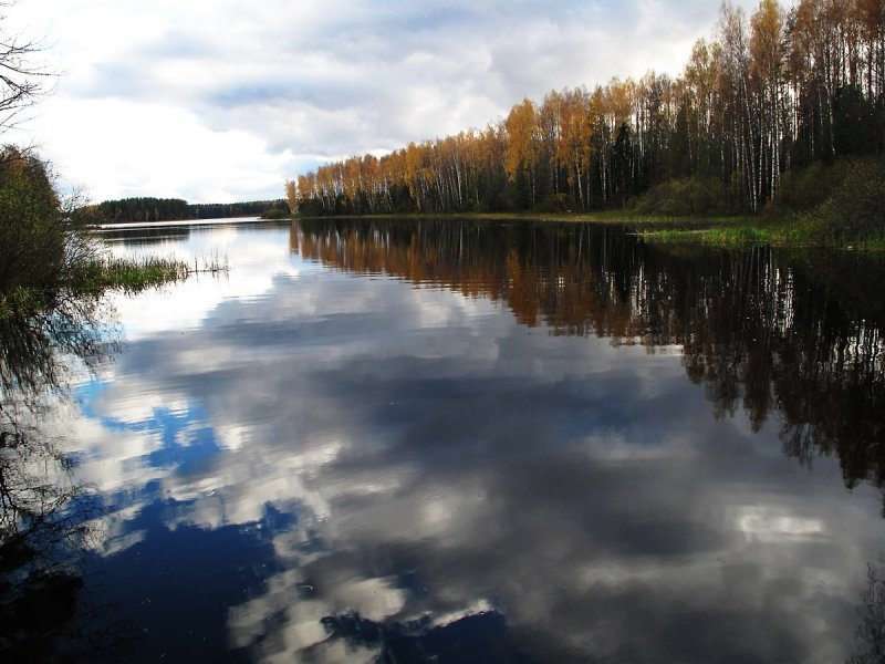 Озеро Кубыча в Тверской области: рыбалка, отдых, простой любителей