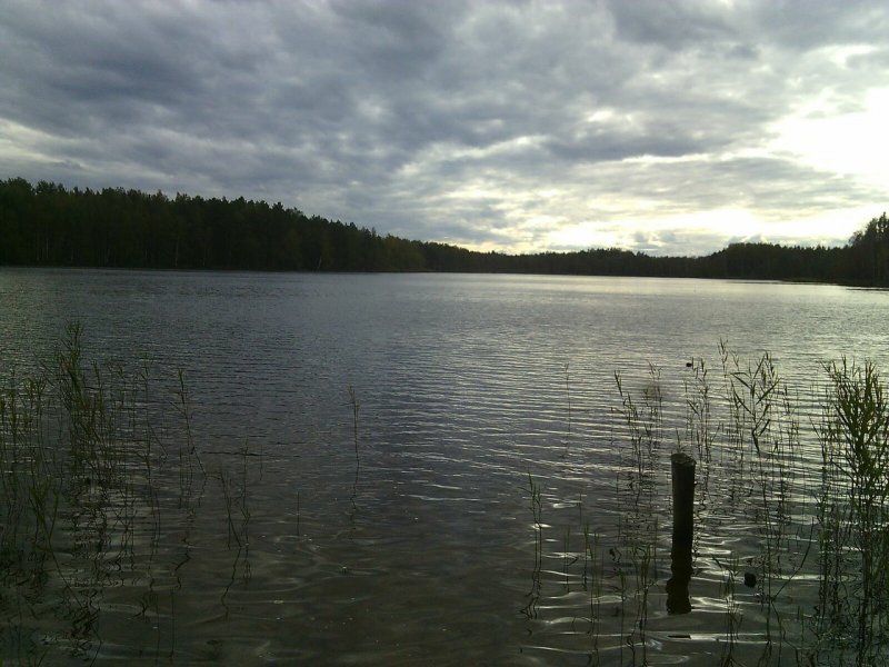 Озеро Долгое Сланцевский район - подробная информация о рыбалке