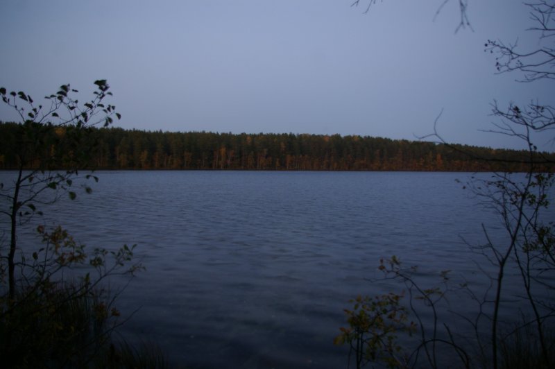Озеро Невское в Ленинградской области: информация для рыбаков и отдыхающих