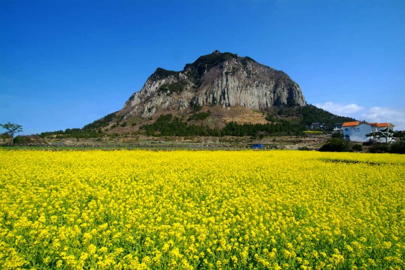 Гора Халласан в Корее