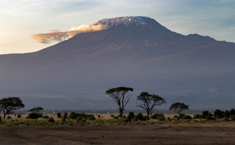 Килиманджаро гора природа