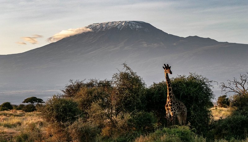 Кения гора Килиманджаро