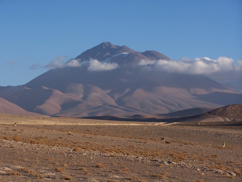Южная Америка вулкан Льюльяйльяко
