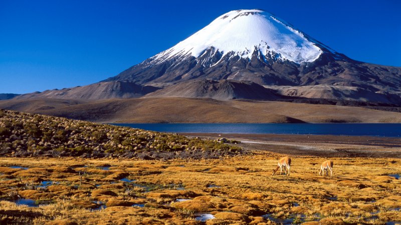 Самый высокий вулкан (Охос-дель-Саладо).